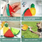 Jouets Rafraîchissants à Mâcher pour Chien - Set Fruits d'Été