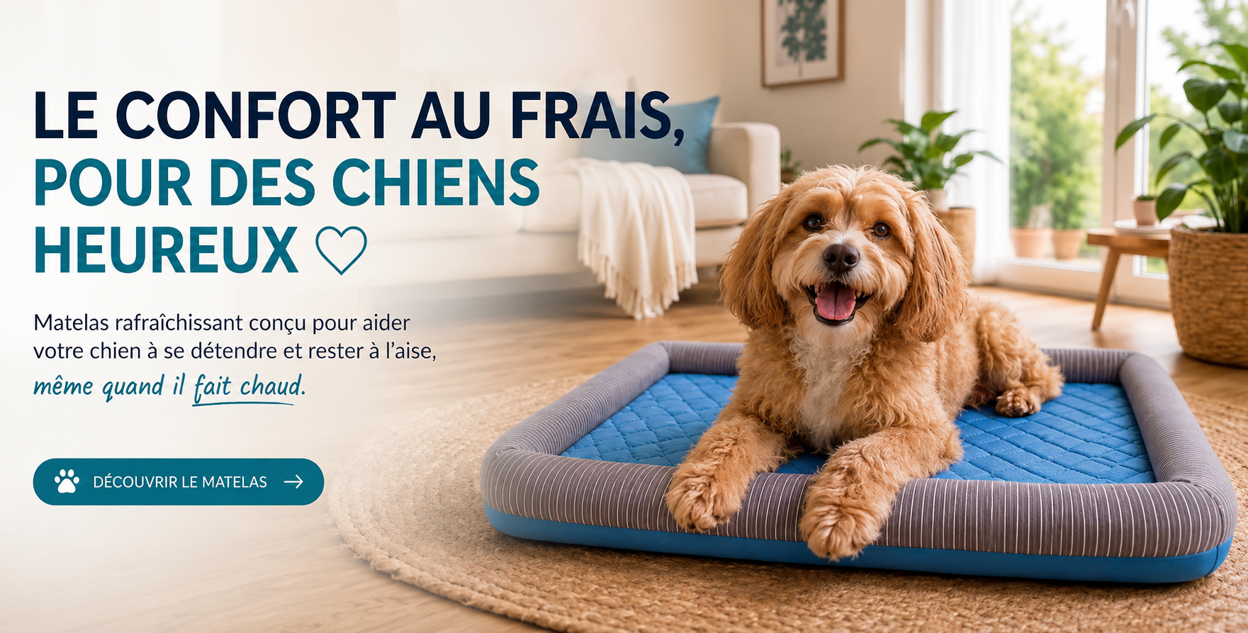 Découvrir le matelas qui soulage votre chien pendant les étét chaud - IceDream