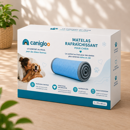 Canigloo