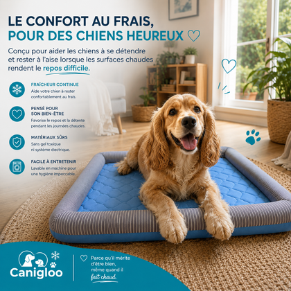 Canigloo