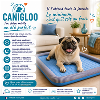 Matelas IceDream Classic — Coussin Rafraîchissant pour Chien