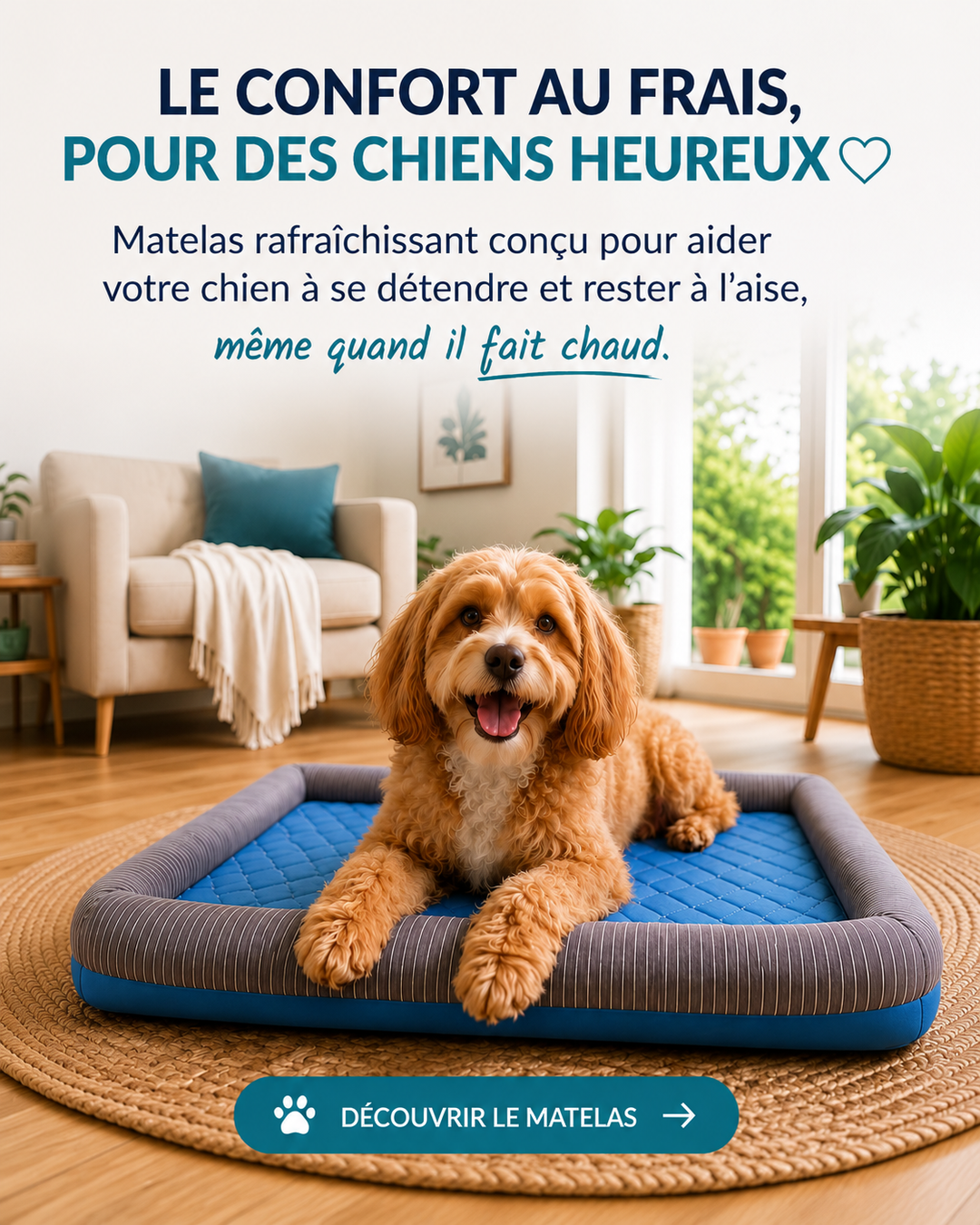 Découvrir le matelas qui soulage votre chien pendant les étét chaud - IceDream