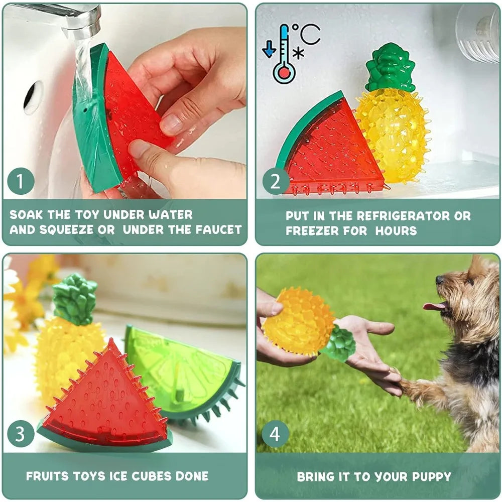 Jouets de Refroidissement pour Chien – Set Fruits d'Été