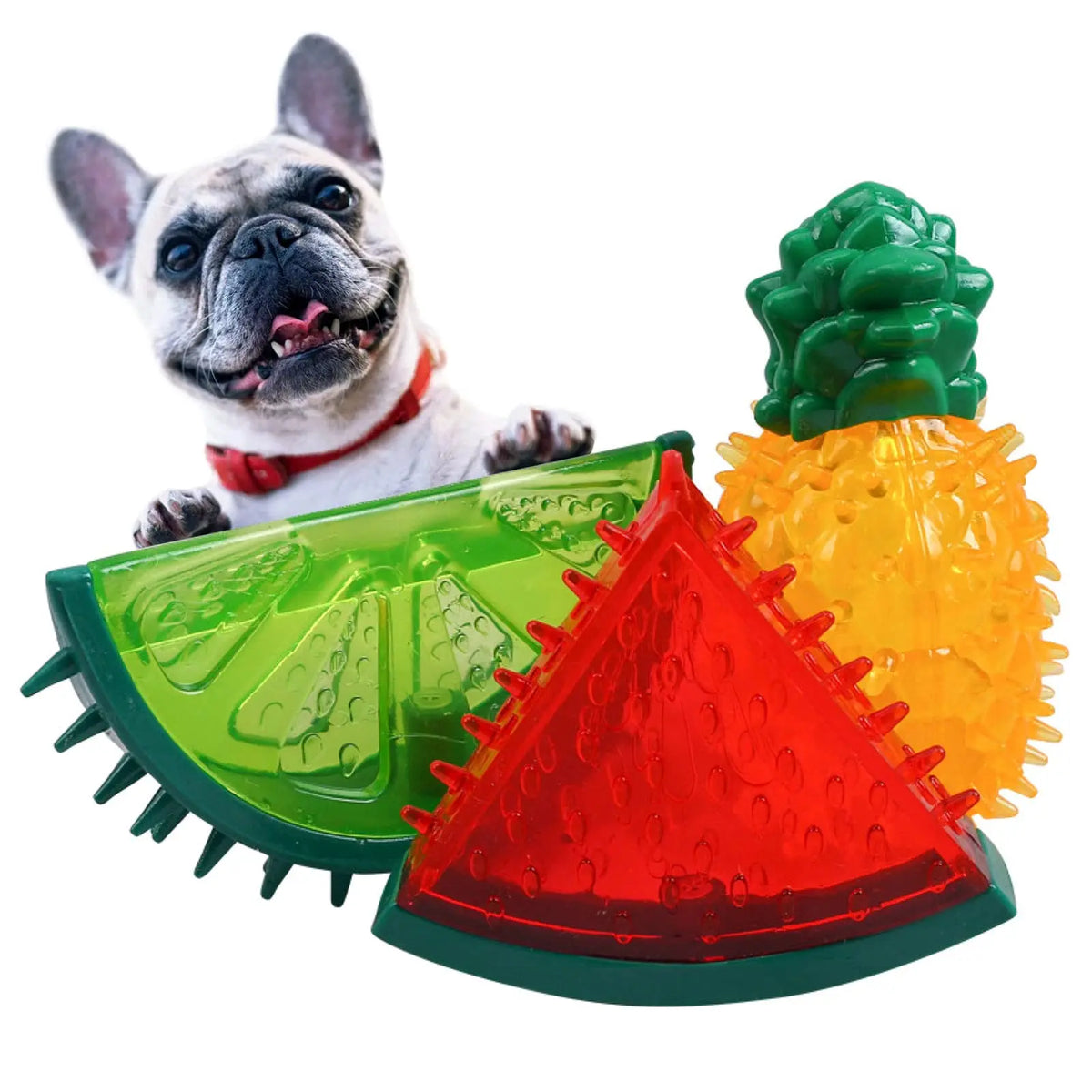 Jouets de Refroidissement pour Chien – Set Fruits d'Été