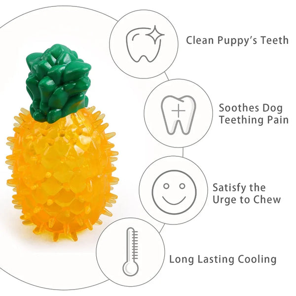 Jouets de Refroidissement pour Chien – Set Fruits d'Été