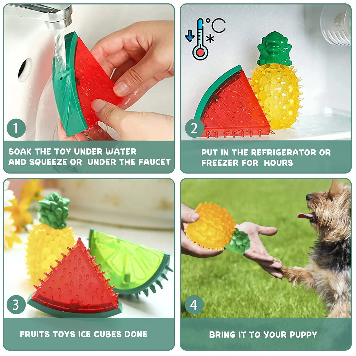 Jouets de Refroidissement pour Chien – Set Fruits d'Été
