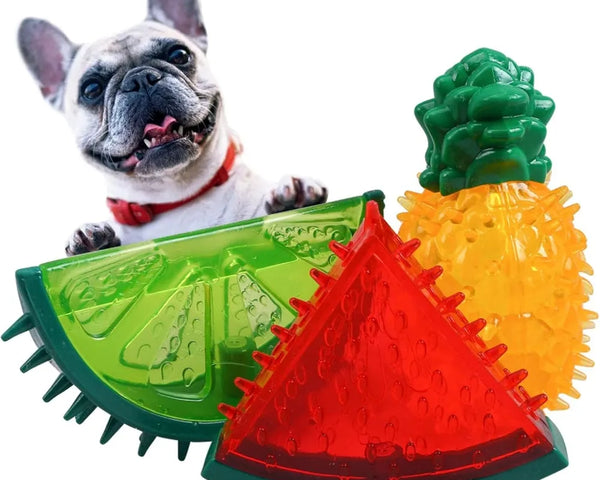 Jouets de Refroidissement pour Chien – Set Fruits d'Été