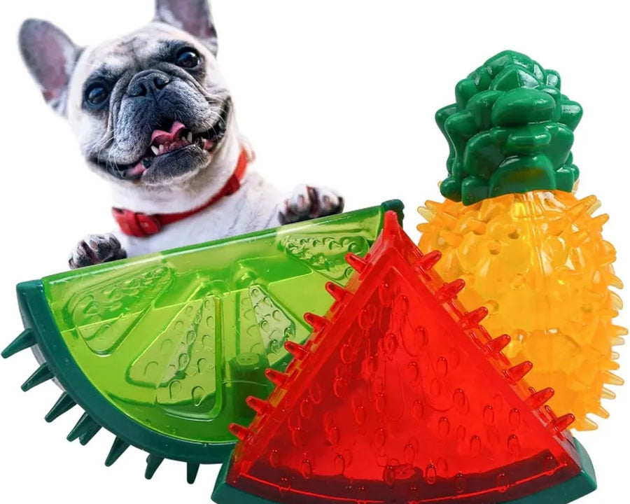 Jouets de Refroidissement pour Chien – Set Fruits d'Été
