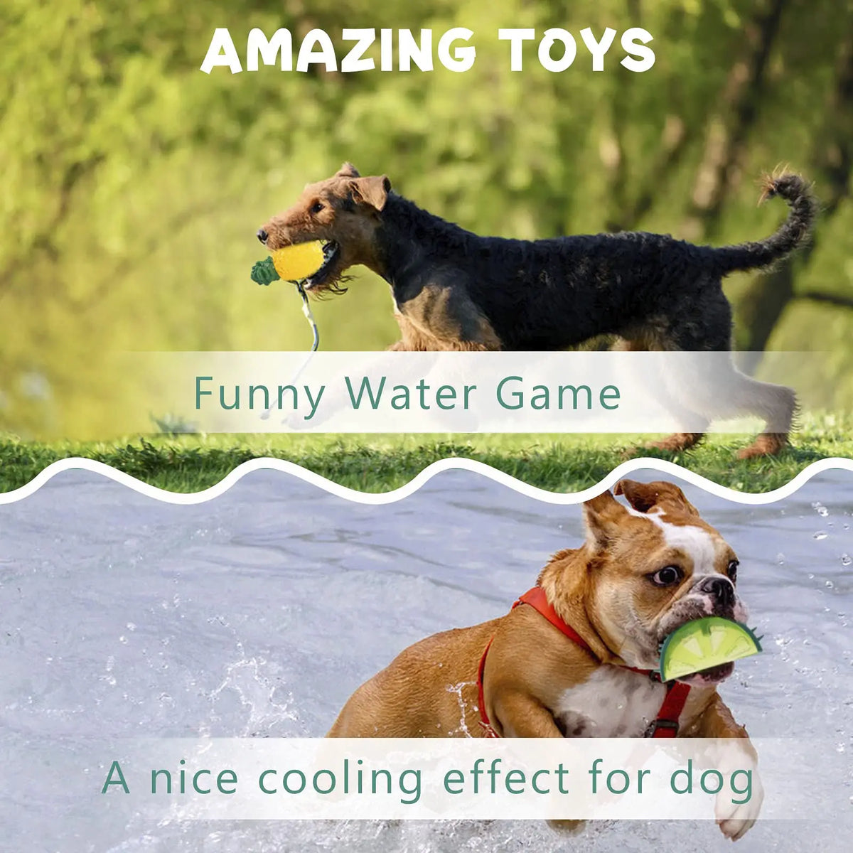 Jouets de Refroidissement pour Chien – Set Fruits d'Été